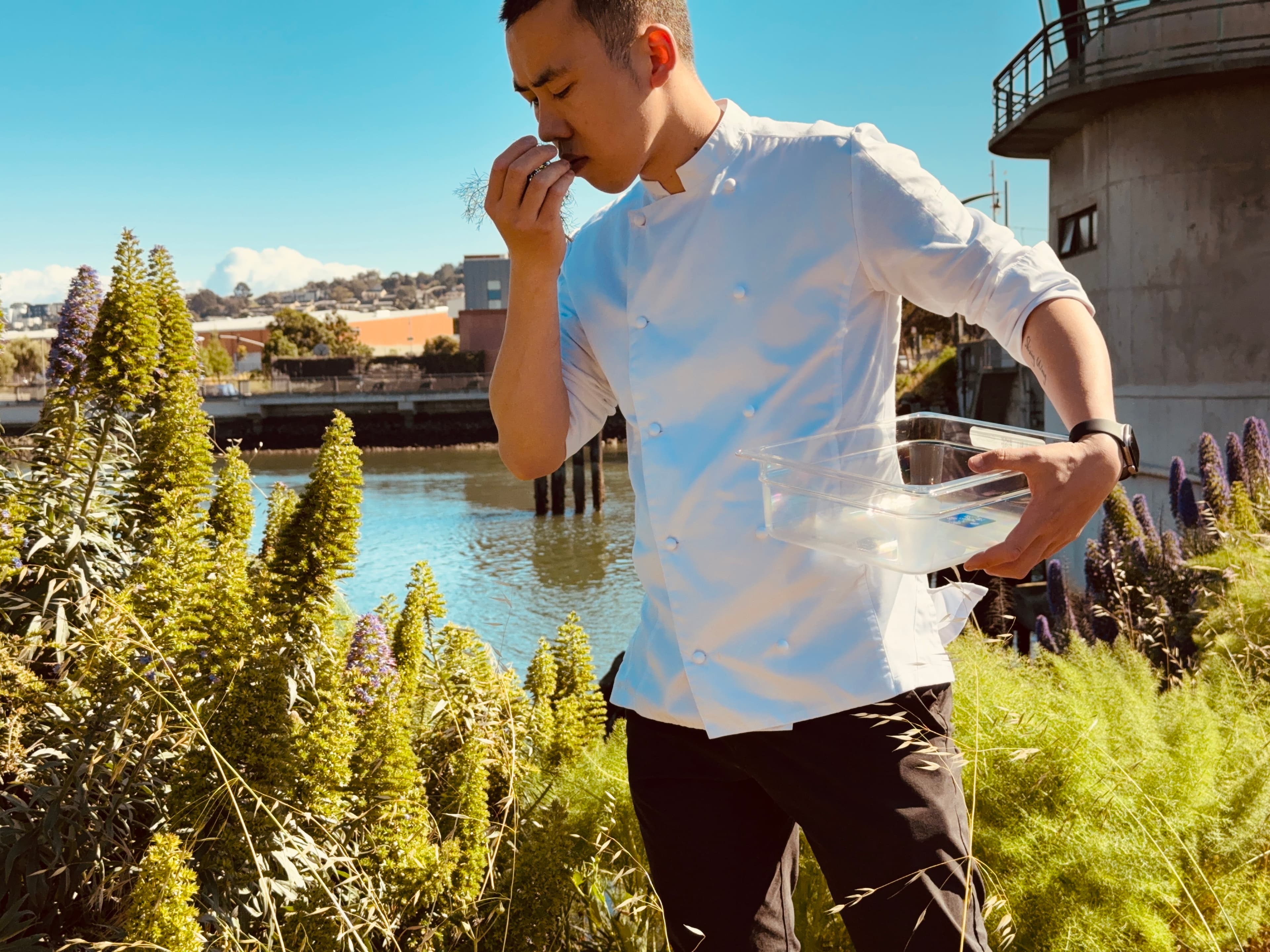 Kombucha Workshop Series – 2